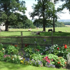 Yew Tree Farm thumbnail 8