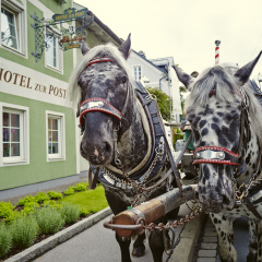 Das Grüne Hotel zur Post - Bild 19