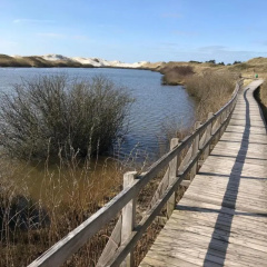Hotel Südstrand Amrum - Bild 2