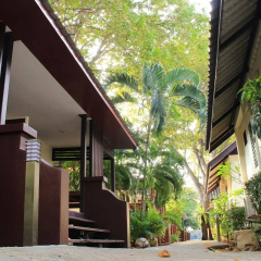 The Beach Garden Resort thumbnail 21