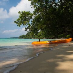 Barrier Beach Resort in Saraotou, Vanuatu from 414$, photos, reviews - zenhotels.com outdoors