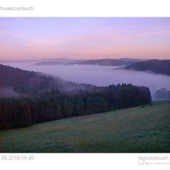 Pension Forsthaus im Täle - Bild 7
