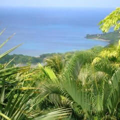 Apartment With one Bedroom in Le Gosier, With Wonderful sea View, Encl in Le Gosier, France from 142$, photos, reviews - zenhotels.com photo 7