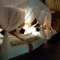 Kencana Garden - Bild 3