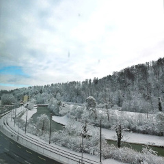 Lamira Serviced Apartments Zurich City - Bild 16