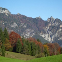 Pension Herzoghäusel - Bild 5
