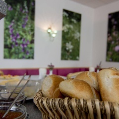 Hotel Alpha - Bild 9