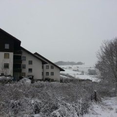 Ferienwohnung Am Paradies - Bild 6