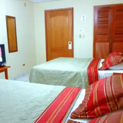 The Green Frog Inn in San Pedro Sula, Honduras from 75$, photos, reviews - zenhotels.com photo 16