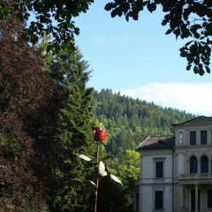Lichtentaler Allee Deluxe - Bild 6