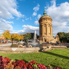 Dorint Kongresshotel Mannheim - Bild 23