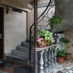 Sunny Guest House thumbnail 12