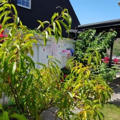 Gartenstudio Anila I. und II. - Bild 5