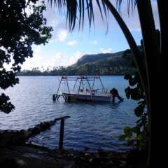 Apoomatai Bay Bungalow in Huahine, French Polynesia from 410$, photos, reviews - zenhotels.com photo 2