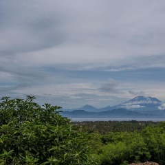 Bukit Taman Cottages - Bild 3