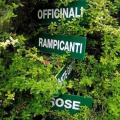 Tenuta La Parrina thumbnail 41