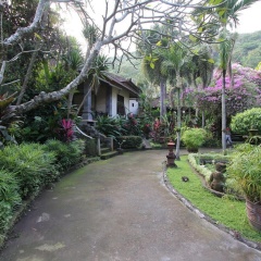 Dasa Wana Resort - Bild 7