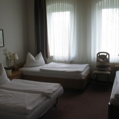 Adler - Bild 6