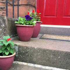 The Red Townhouse thumbnail 11