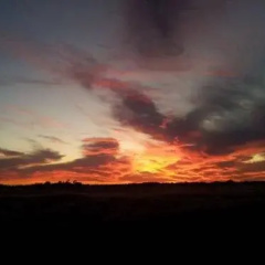Swan Valley thumbnail 5
