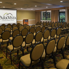 The Park Vista - a DoubleTree by Hilton Hotel - Gatlinburg thumbnail 13