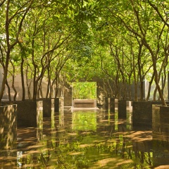 Grand Hyatt Hong Kong - Bild 27