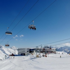 Grauer Bar - Bild 27