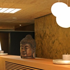 Emser Thermenhotel - Bild 11