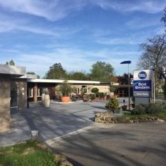 Best Western Hotel Mainz - Bild 27
