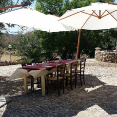 Tenuta la Siesta thumbnail 24
