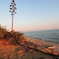 Eco-friendly Holiday Apartment Marina di Ragusa apt "il Gufo" thumbnail 9