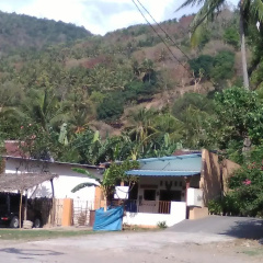 Jeges Homestay - Bild 15
