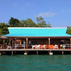 Agnes Lodge in Munda, Solomon Islands from 332$, photos, reviews - zenhotels.com photo 2