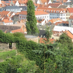 Stadtoase - Bild 1