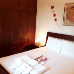 Antonia House thumbnail 6