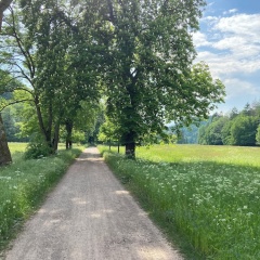 Wohnen im Alten Kornspeicher - Bild 18