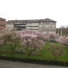 Hotel Regina - Bild 17