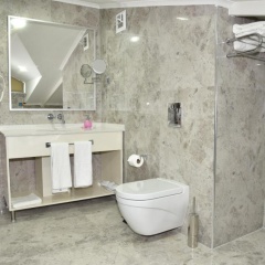 The Elegant Hotel - Bild 8