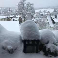 Harzer Schatz - Bergpack Suite - Bild 11