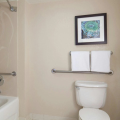 Residence Inn by Marriott Orlando Lake Buena Vista thumbnail 8