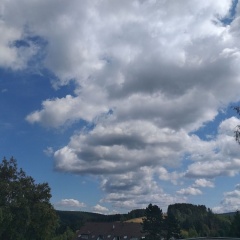 Tier FeWo Zell - Bild 7