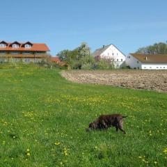 Wohnung in Rotthalmunster mit Garten - Bild 6