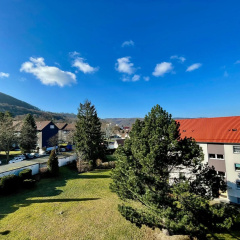 Bergfürst - Bild 9