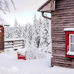Chalet in Harz With Sauna & Brocken Views - Bild 1
