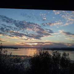 Bay Bridge Motel thumbnail 13