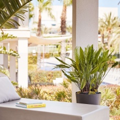 Hotel Viva Zafiro Alcudia - Bild 21