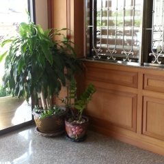 Ban Punmanus Guesthouse - Bild 8
