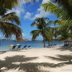 Le Flamboyant Hotel and Resort in Sandy Ground, St. Martin from 157$, photos, reviews - zenhotels.com photo 6