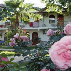 Olympos Yavuz Hotel - Bild 15