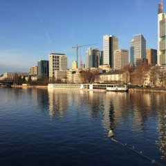 Hotel Carlton - Bild 20